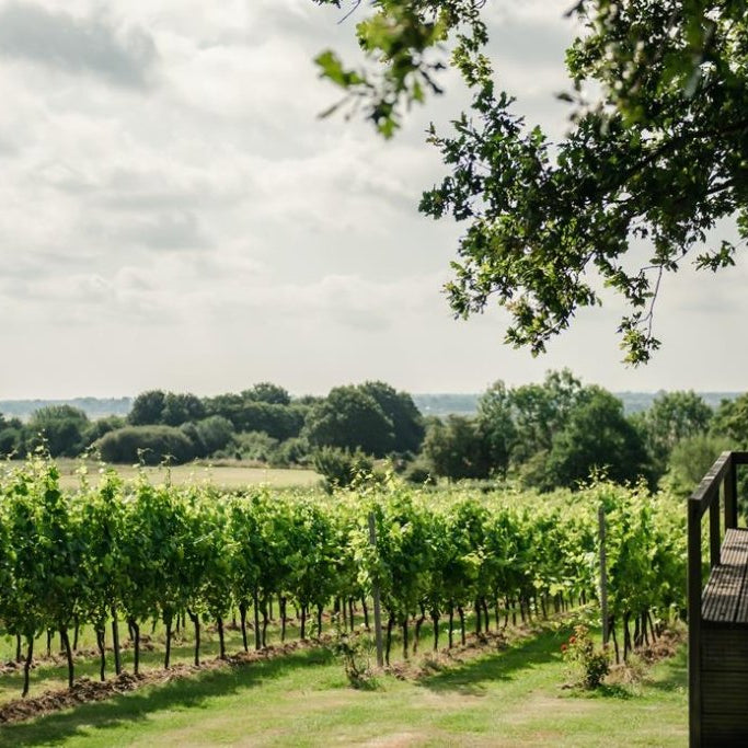 Celebrating the Finest Local Tipples: English Wine Week - FodaBox Retail Store