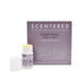 Sleep Well Aromatherapy Mini Balms (100 units) - Scentered
