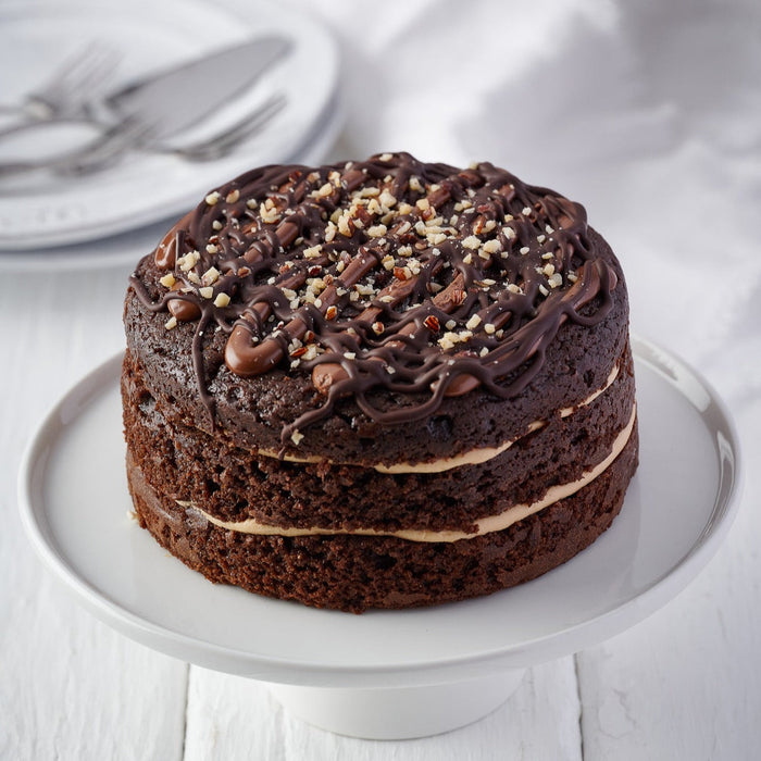 Belgian Chocolate and Hazelnut Cake - The Original Cake Company