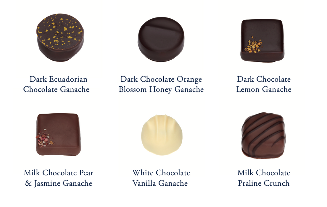 Truffle Hound Chocolate Collection - Rococo Chocolates