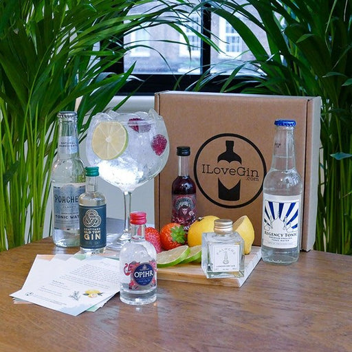 TASTE Cocktails - The 4 Styles of Gin Gift Set-1