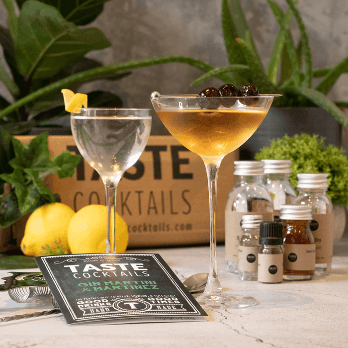 TASTE Cocktails - The Gin Martini and Martinez Discovery Cocktail Kit-2